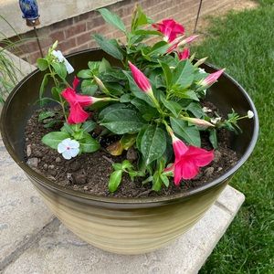 Meet your Posher, Susan